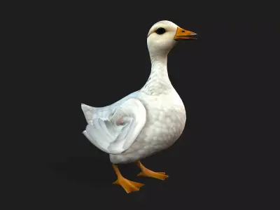 Duck A1 Free 3D model