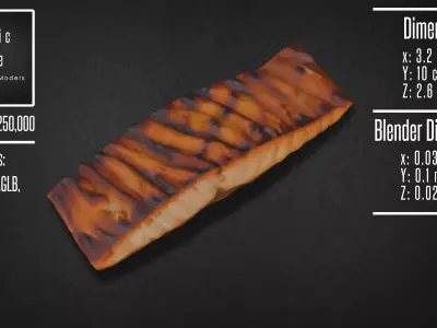 Realistic Grilled Salmon Fillet Model 3D model