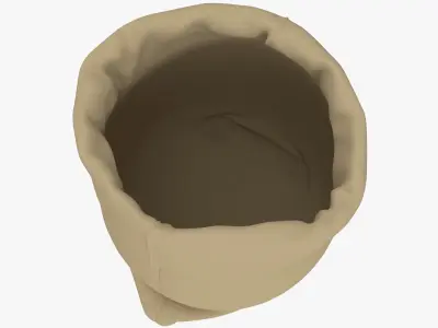 Sack v11 3D model