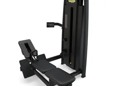 Technogym - Selectorised - Pulley 3D model