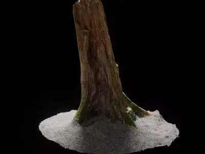 Forest Tree Stump 4K -Part11- Free low-poly 3D model