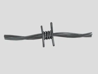 Barbed Wire Low-poly 3D model