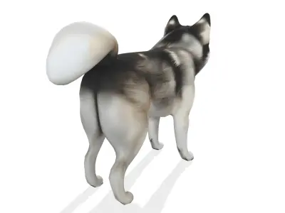 Loyal Stylized Siberian Husky 3D model