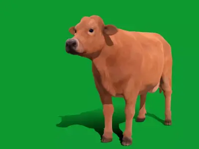 Jersey Cattle Free low-poly 3D model