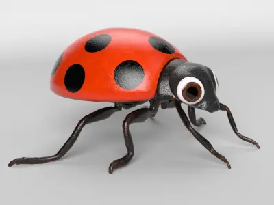 Cartoon Ladybug 3D model