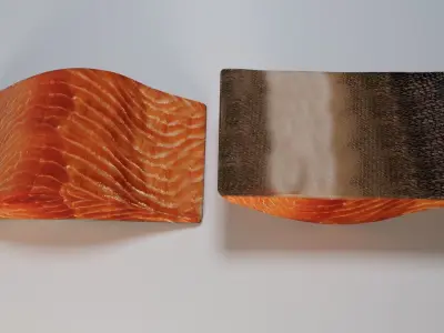 Salmon Fillet 3D model