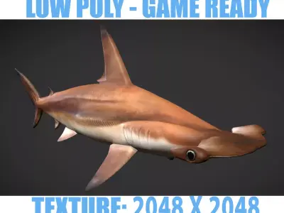 hammerhead sharks Low-poly 3D model
