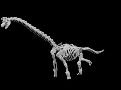 Brachiosaurus Skeleton Low-poly 3D model
