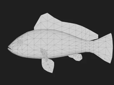 Seabass Low-poly 3D model