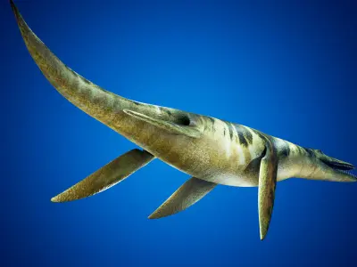 Realistic Pliosaur Mosasaurus with UE4 Support Low-poly 3D model