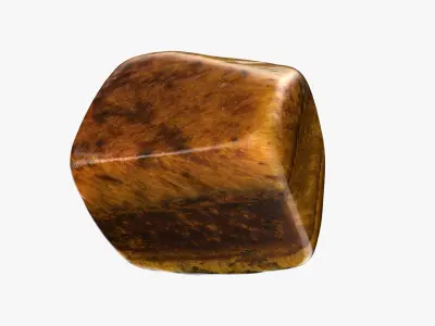 Tigers Eye 04 3D model