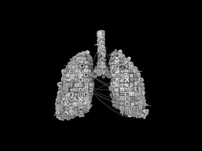 Human Lungs shaped Spaceship Low-poly 3D model