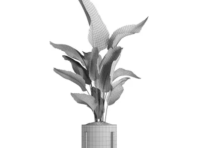 indoor plant 053 3D model