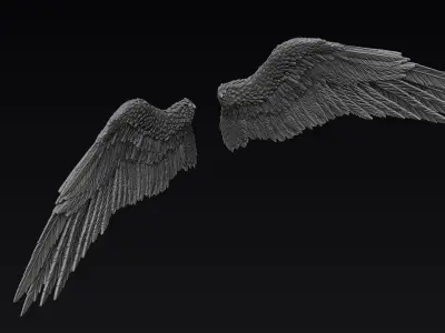 Wings Zbrush Sculpt 3D model
