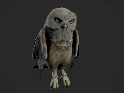 animated owl Low-poly 3D model