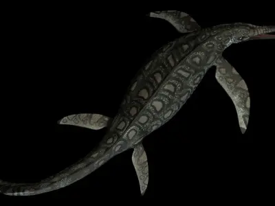 Shonisaurus Asset Pack Low-poly 3D model