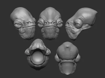 Admiral Raddus Headsculpt for Action Figures 3D print model