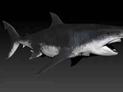 Megalodon SCULPT Project 3D model
