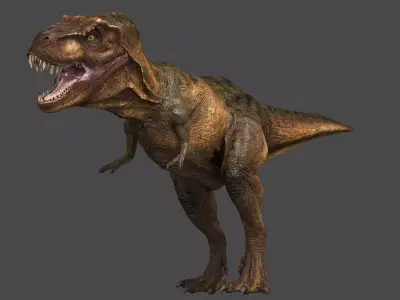 Tyrannosaurus  Rex 3D model