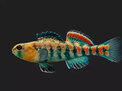 Darter Low-poly 3D model