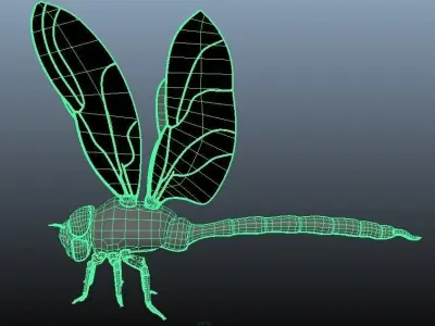 Dragonfly model - no rigging - no texture 3D model