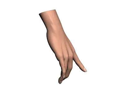 Female hand 001 3D model