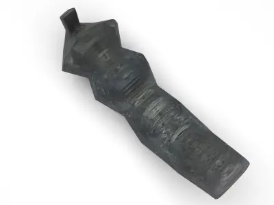 Dunkleosteus Tooth 3D model