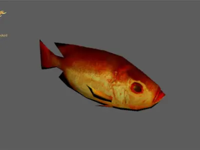 Animated Golden Fish - Loop Animation Low-poly 3D model