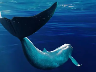 Blue Whale  Animated  Low-poly 3D model