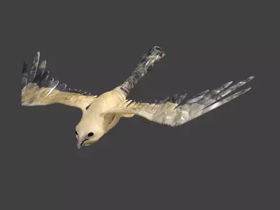 kite animated Low-poly 3D model