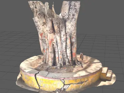 Old Tree Trunk of Pipal tree 3D model