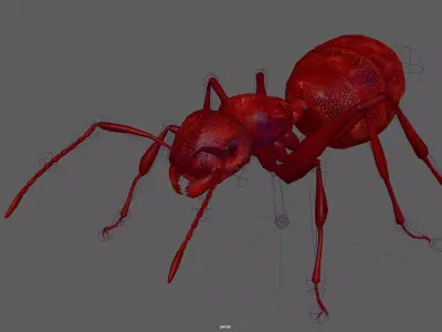 Red Ant Rig Low-poly 3D model