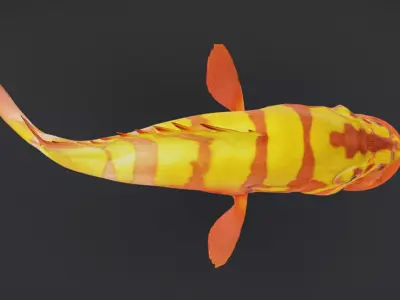 Realistic Neptune Grouper Animated 3D model