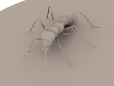 Ant 3D Model Rigged low-poly 3d model 3D model