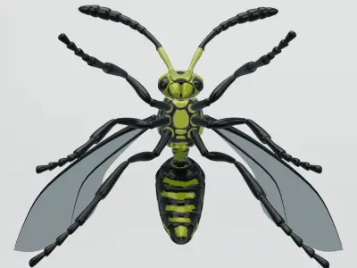  Wasp insect nature 3D model