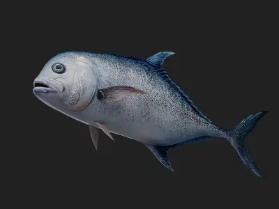 Trevally Low-poly 3D model