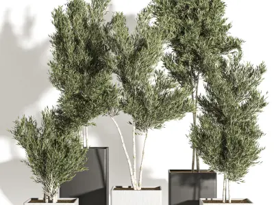 indoor plant vol 28 3D model