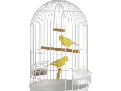 Canaries in a cage 3D model