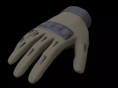 Tactical Gloves 3D model