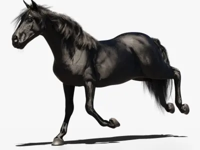 Horse animated 3D model get