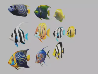 Fish 10 3D model