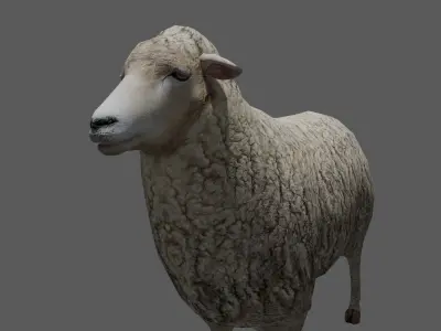 Animated Sheep 3D Model Low-poly 3D model