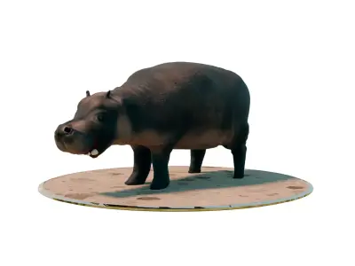 Hippopotamus on platform Low-poly 3D model