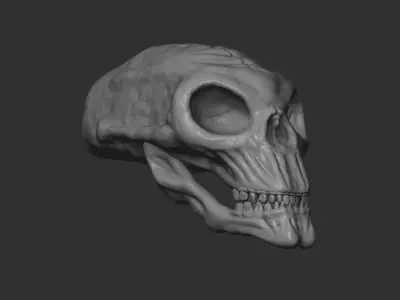 Alien Skull 3D print 3D print model