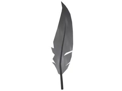 Feathers v1 001 Low-poly 3D model