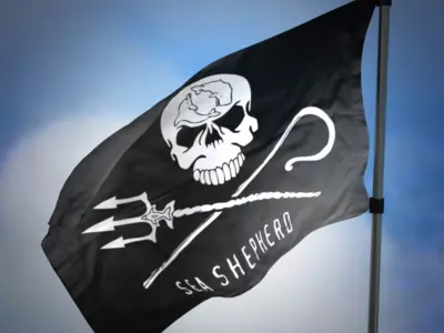 Animated Flag 3D model