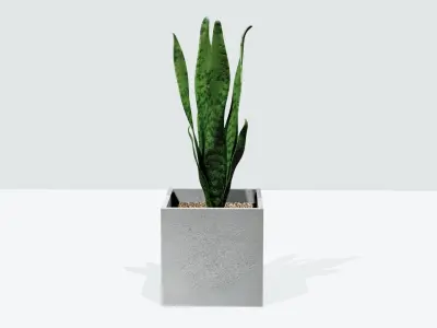 pot plant Free low-poly 3D model