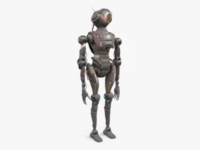 Robot(1) 3D model