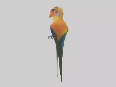 Bird of Paradise Model Low-poly 3D model