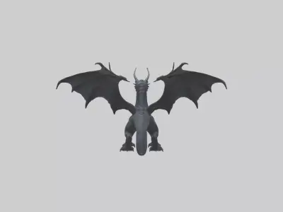 Black Dragon model 3D model